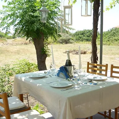 Vineyard *